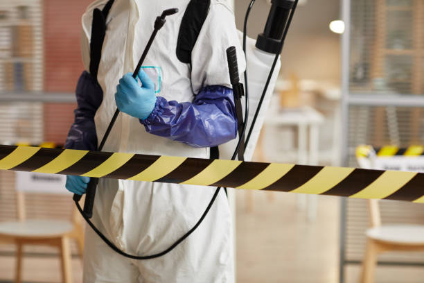 Professional Sewage Cleanup technician working in Blairsville, GA